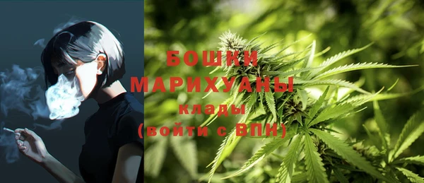 apvp Краснослободск