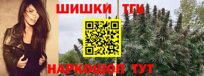 альфа пвп Гусев