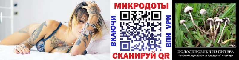 наркошоп  Самара  Псилоцибиновые грибы прущие грибы 