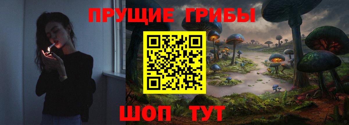 Галлюциногенные грибы Psilocybe Самара